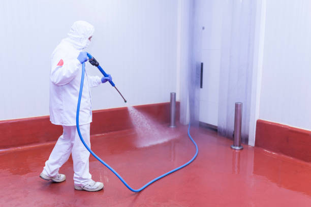 Best Building Exterior Washing  in Pinewood Estates, TX